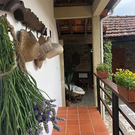 Delfina Farm stay