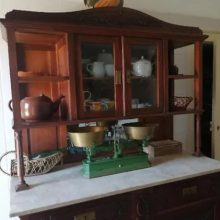 Delfina * Lousa (Central Portugal)