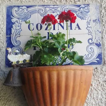 Delfina