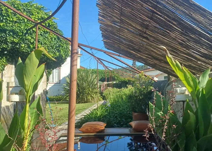 Alojamento de Turismo Rural Delfina *